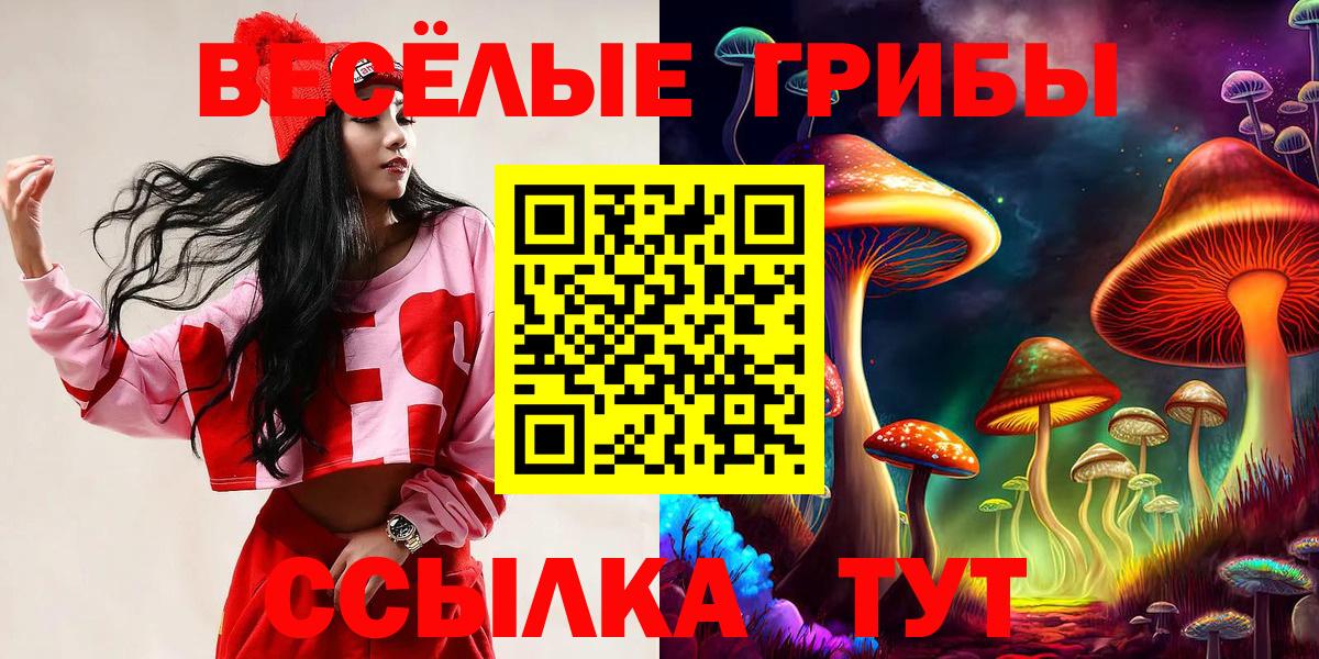 Галлюциногенные грибы Psilocybe Людиново